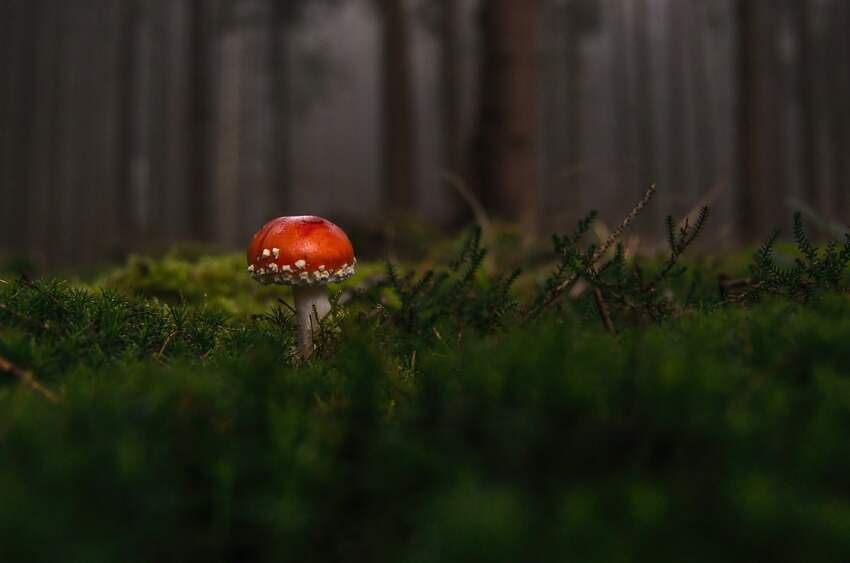 昆山国税局(外地人在昆山买汽车上牌麻烦吗)