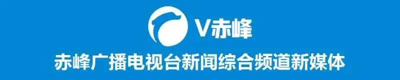 2020年度赤峰市喀喇沁旗按比例安排残疾人就业，审核及残疾人就业保障金征收工作公告