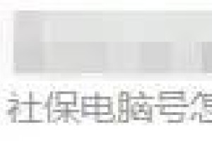 社保电脑号怎么查询？(企业社保电脑号怎么查询)